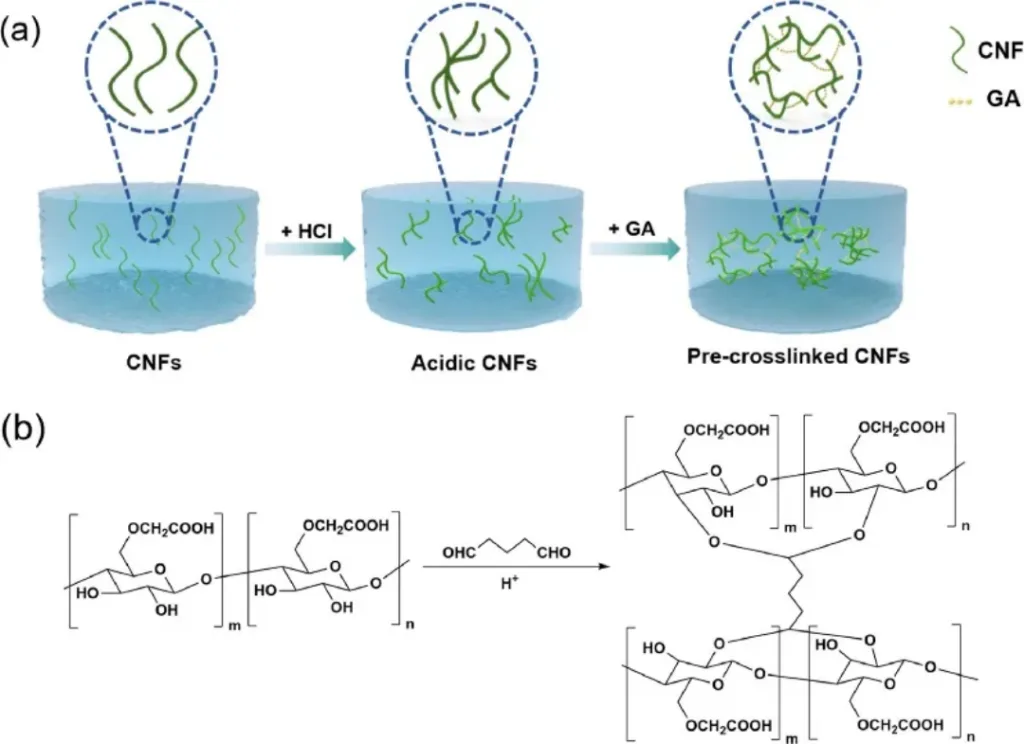 Preparation of the CNF Suspension