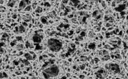 PVDF Membrane