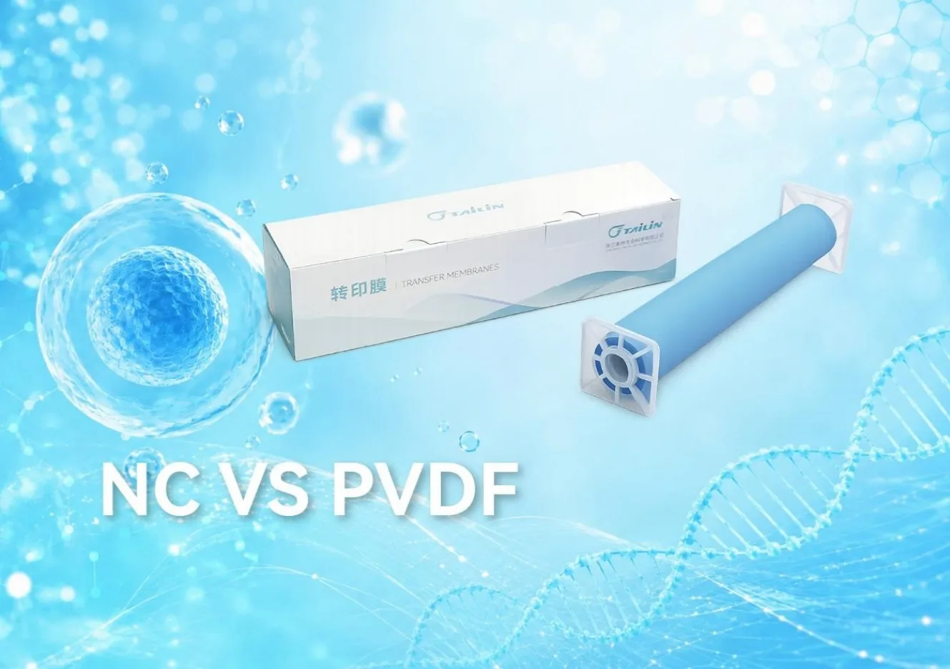PVDF Membrane, NC Membrane