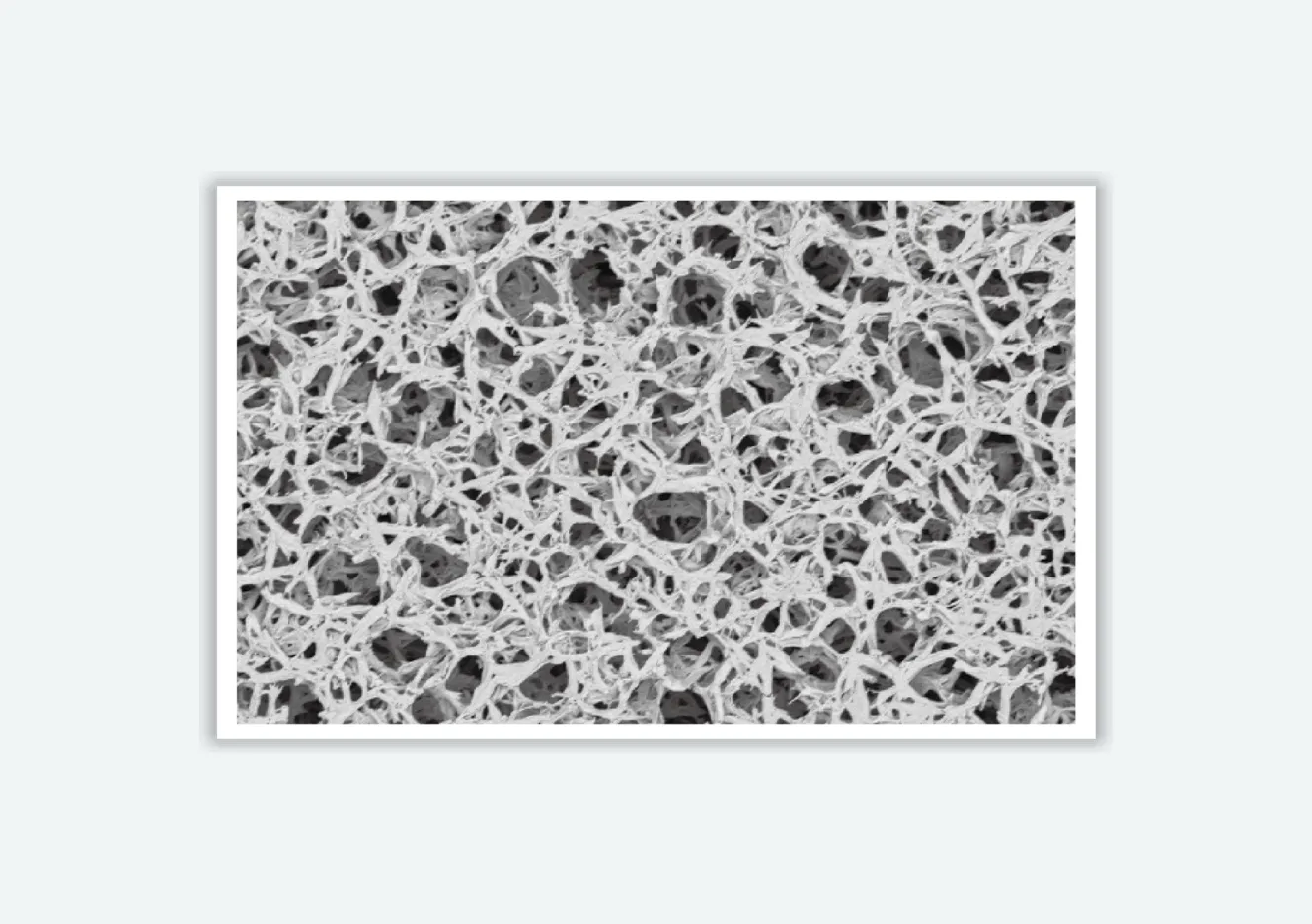 PVDF Membrane