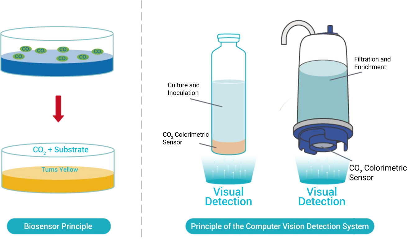 Microbial Respiration Signal Method
